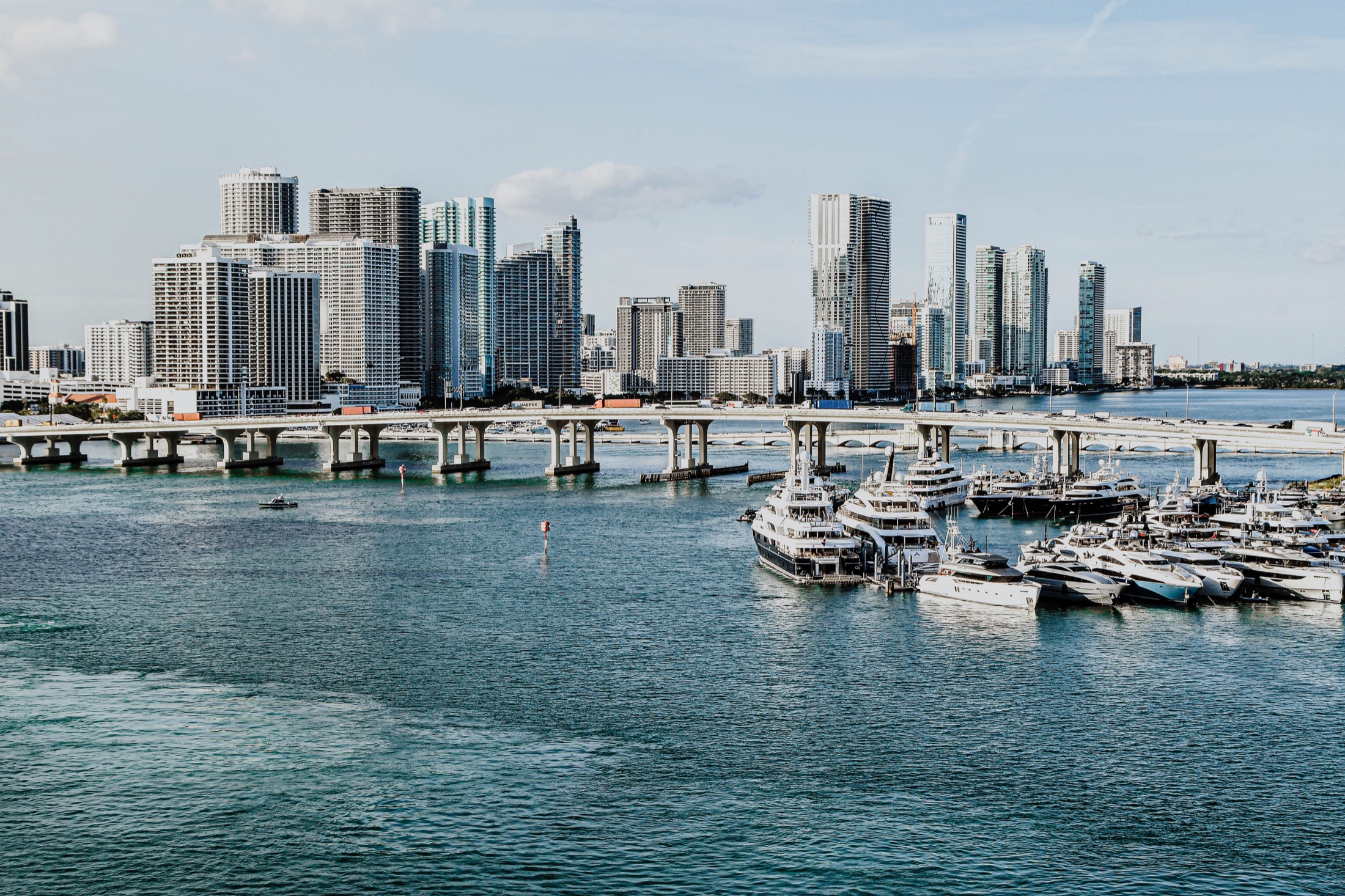 Boats gathered in a marina beside the Miami skyline